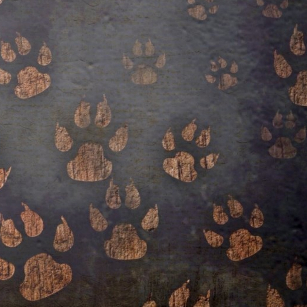 Doggie Paw Print Tiles